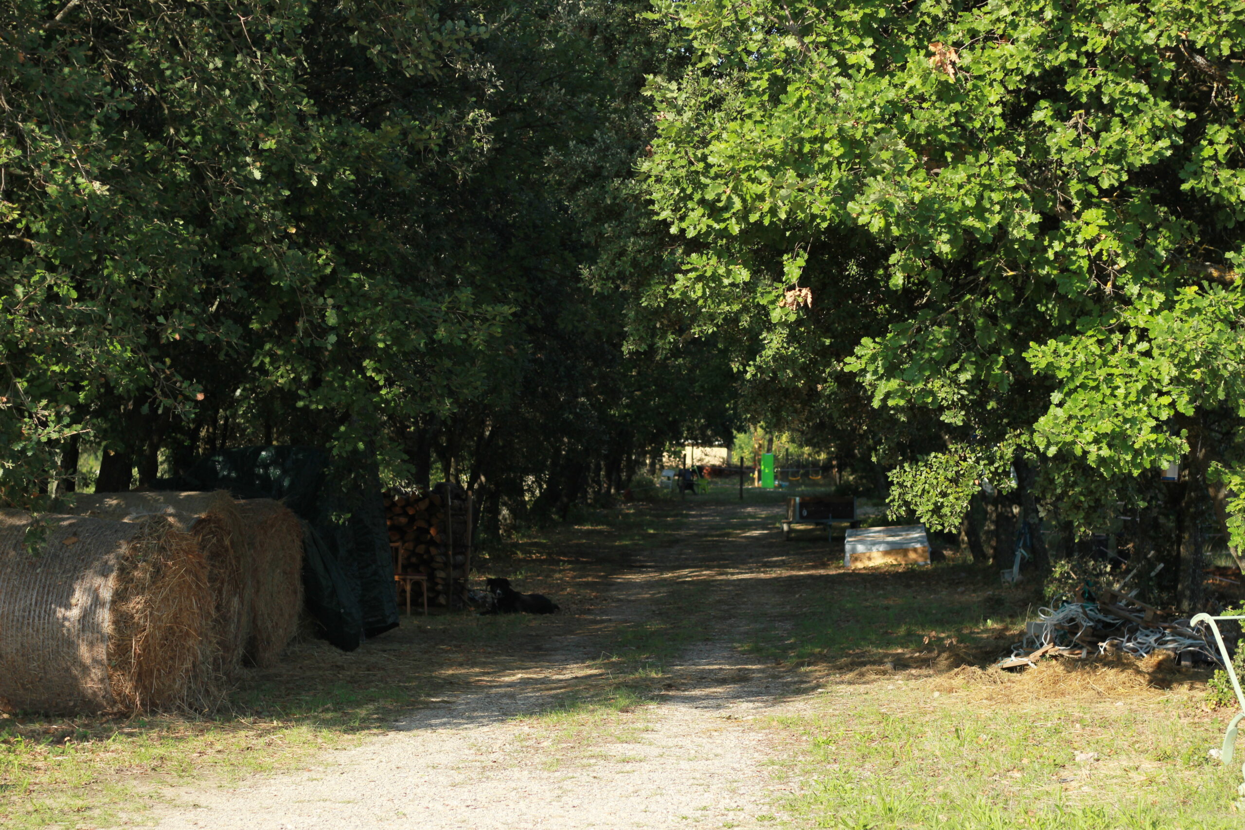 Allée de chênes : sellerie, club-house, aire de pic-nique