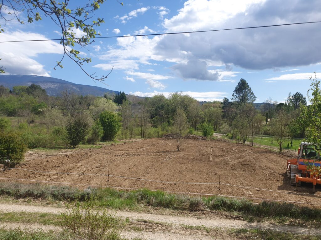 Future carrière en herbe