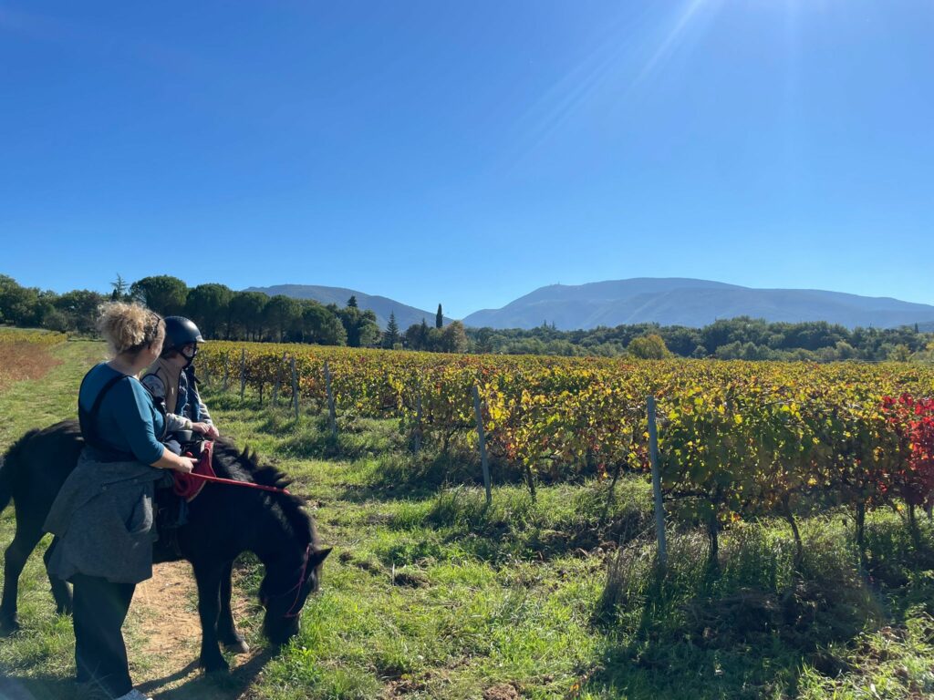 Chemins de balades vue sur le Mont-Ventoux